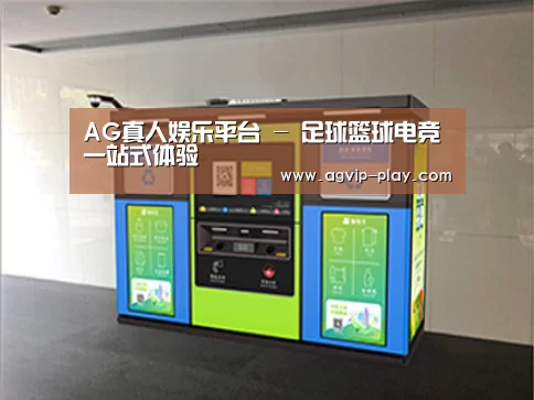 成功案例标题四