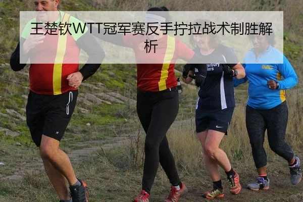 王楚钦WTT冠军赛反手拧拉战术制胜解析