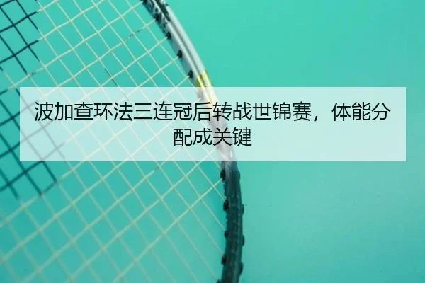bo-jia-cha-huan-fa-san-lian-guan-hou-zhuan-zhan-shi-jin-sai-ti-neng-fen-pei-cheng-guan-jian-3-852.jpg