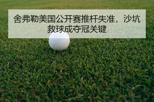 she-fu-lei-mei-guo-gong-kai-sai-tui-gan-shi-zhun-sha-keng-jiu-qiu-cheng-duo-guan-guan-jian-2-569.jpg