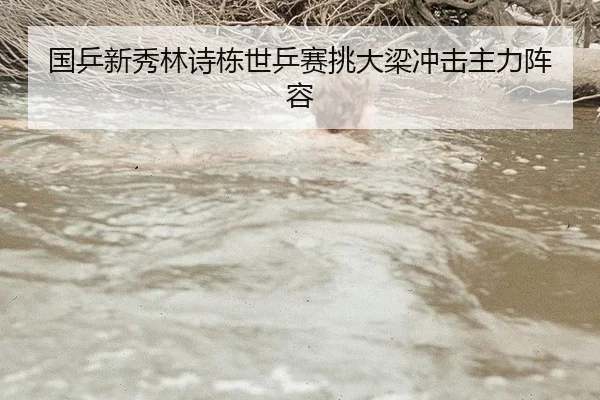 国乒新秀林诗栋世乒赛挑大梁冲击主力阵容