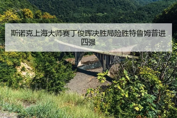 si-nuo-ke-shang-hai-da-shi-sai-ding-jun-hui-jue-sheng-ju-xian-sheng-te-lu-mu-pu-jin-si-qiang-2-298.jpg