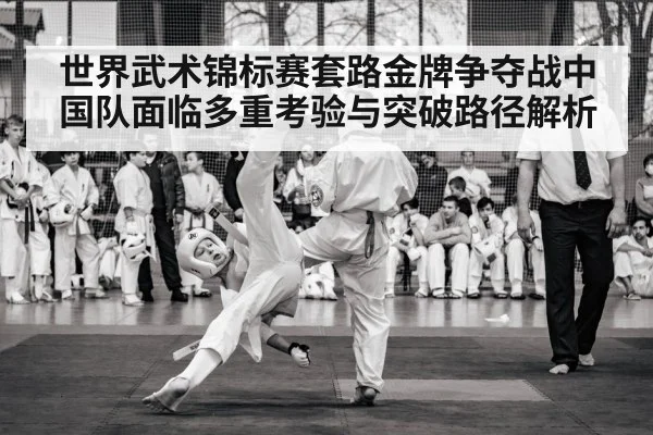 世界武术锦标赛套路金牌争夺战中国队面临多重考验与突破路径解析